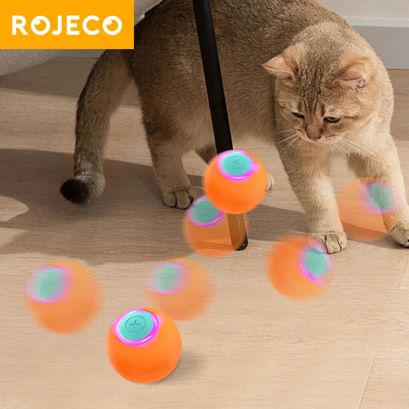 Variety of interactive and plush cat toys displayed in a modern pet lifestyle setting at Dobermen Premier.