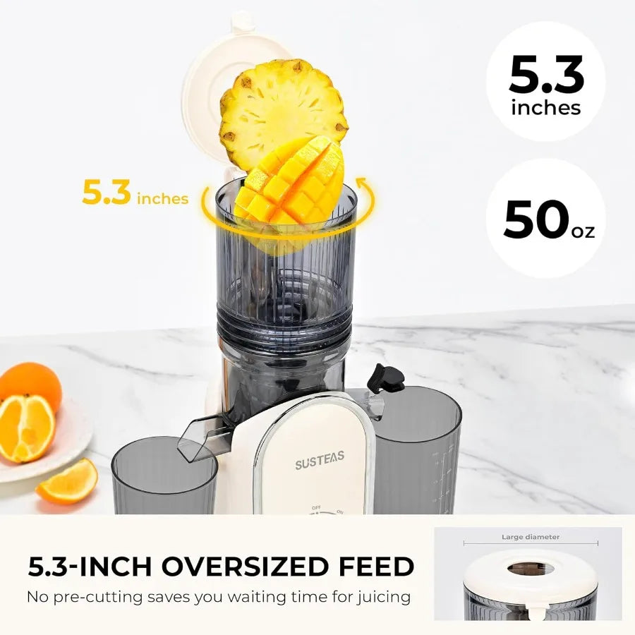 Cold Press Juicer, 5.3" Feed Chute Slow Masticating Machines with 300W, Fit Whole Fruits & Vegetables, High Juice Yield, Easy to
