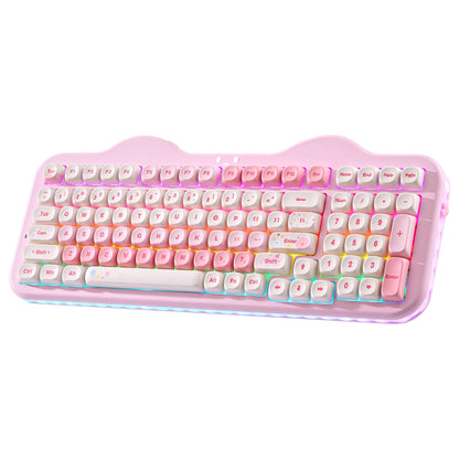 YUNZII C98 Wireless Mechanical Keyboard, 99-Key Hot Swap Gasket Keyboard with Numpad, Custom RGB Backlight,Cute Keeb for Win/Mac