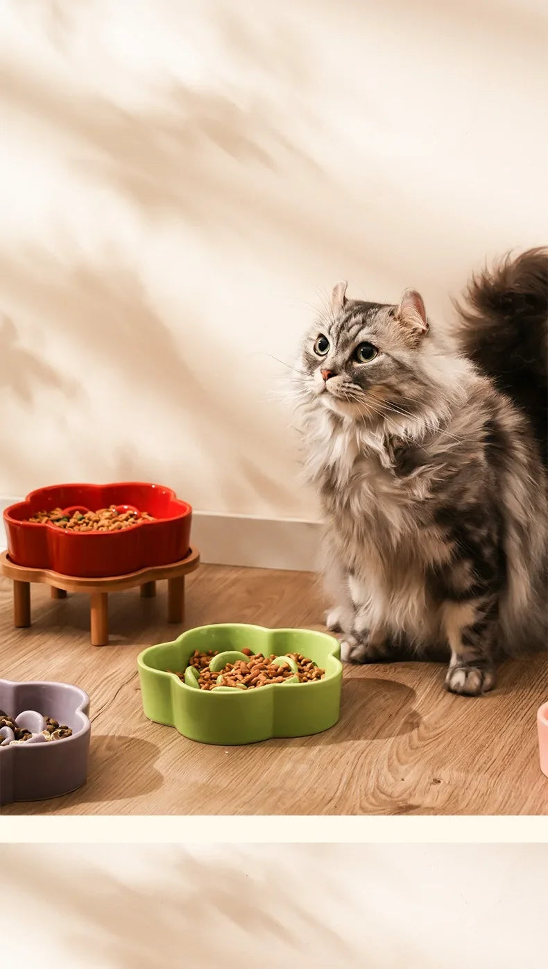 Ceramic Slow Food Bowl Anti-choking Cat Feeding Basin To Prevent Black Chin Small Dog Cat Neck Guard Wooden Frame Slow Food Bowl