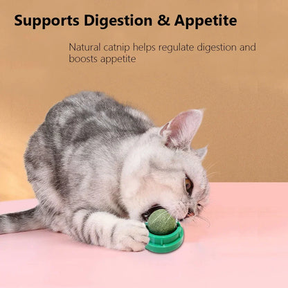 Spinning Catnip Mint Ball for Cats, Interactive Dental Care Chew Toy with Natural Catnip, Hairball Control Kitten Cat Toys