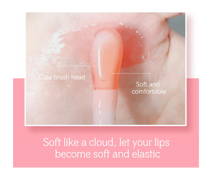 Lip Oil Gloss Ibcccndc