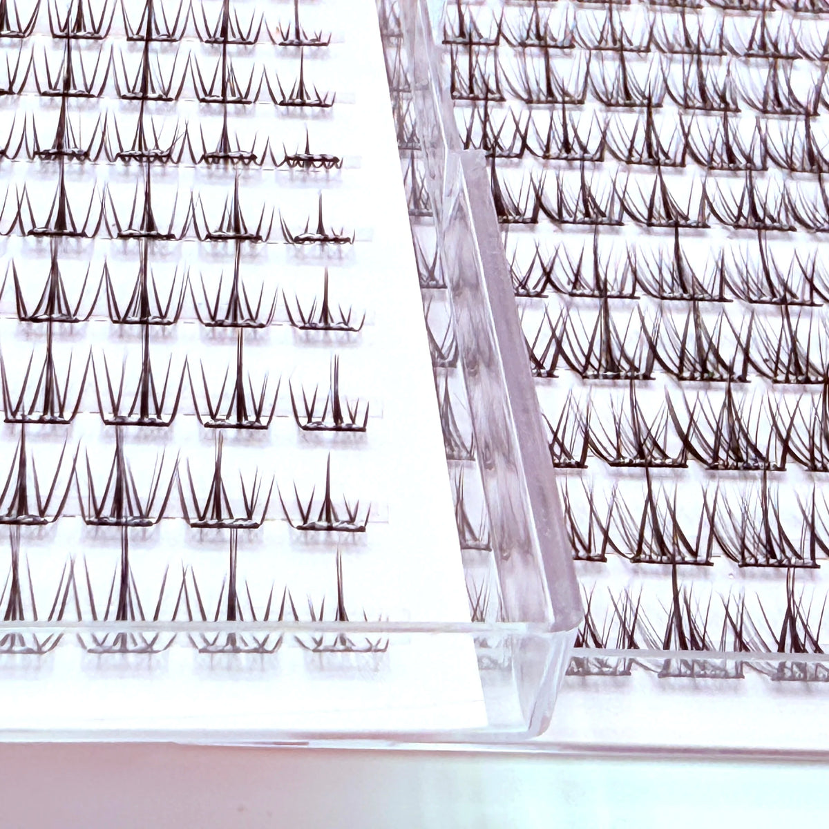 Easy to Apply 10 Rows Self-Adhesive False Eyelashes  for Natural Daily Glam