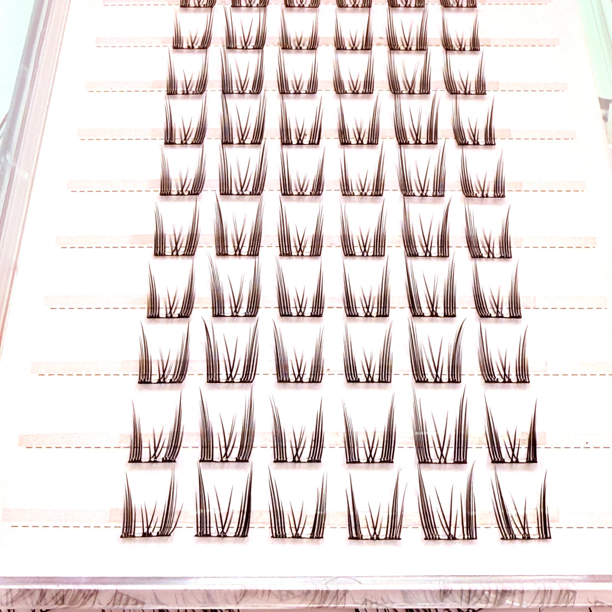 Easy to Apply 10 Rows Self-Adhesive False Eyelashes  for Natural Daily Glam