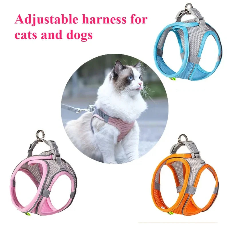 Pet Cat Toys for Indoor Cats Interactive Kitten Toy Realistic Bird Sound Containing Plush and Catnip Materials