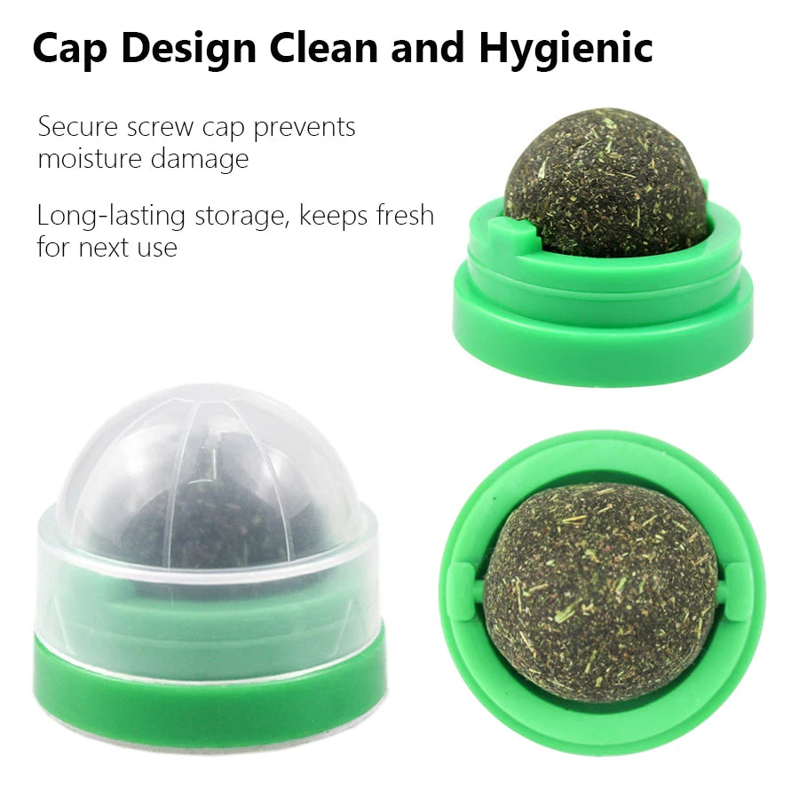 Spinning Catnip Mint Ball for Cats, Interactive Dental Care Chew Toy with Natural Catnip, Hairball Control Kitten Cat Toys