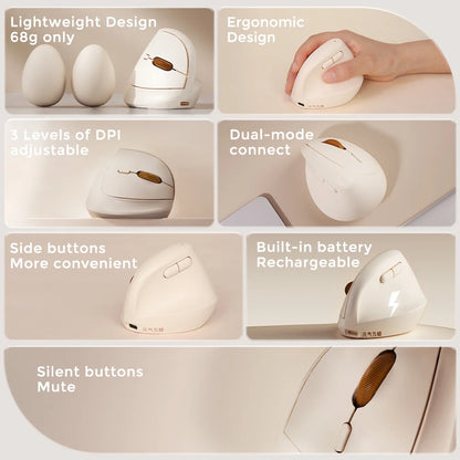 DAREU Mini Ergonomic Vertical Mouse 2.4G USB Bluetooth Wireless Optical Mice 3 Adjustable DPI 1000,1600,2400 for Small Hands