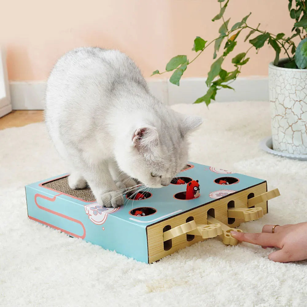 Cat Toy Whack-a-Mole Cat Scratching Board Toy Grinding Claw Rest Play Funny Cat Interactive Multifunctional Cat Supplies