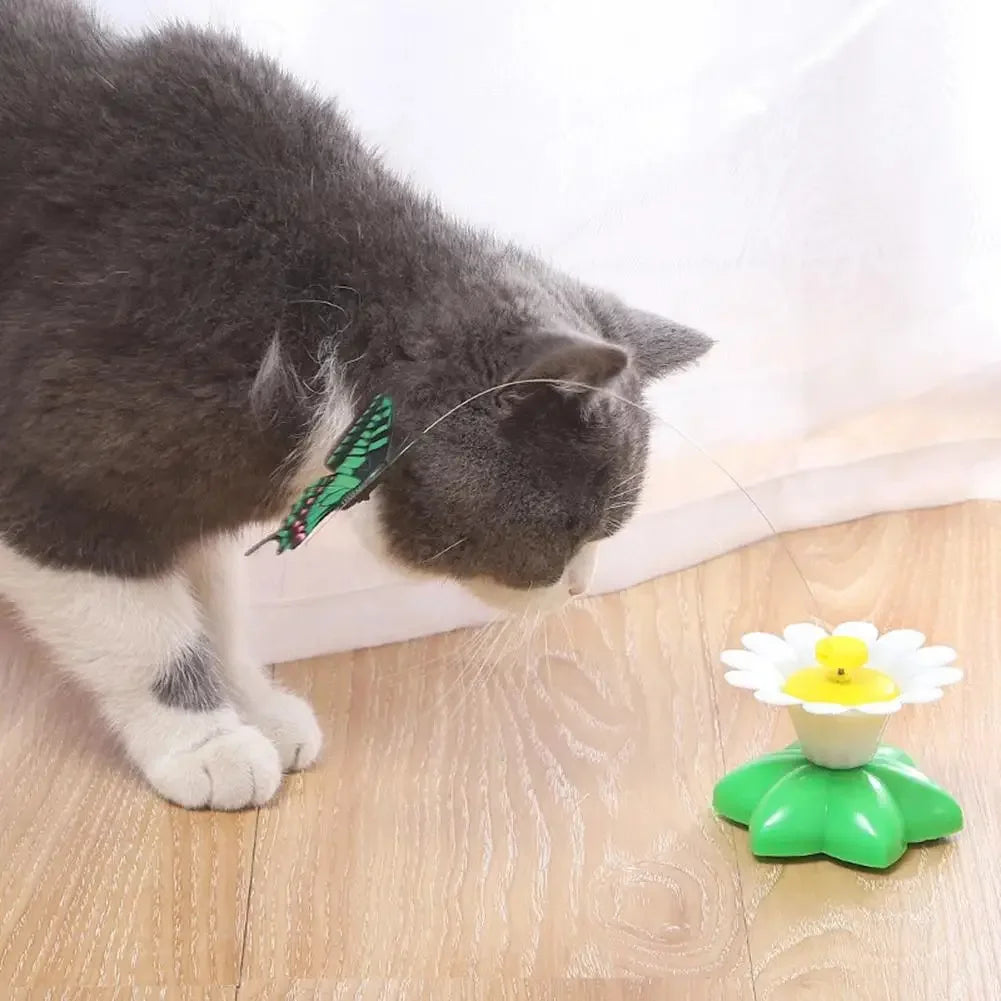 Electric Butterfly Cat Toy Shake Rotating Flying Automatic Humming Bird Intelligence Training Funny Pet Toys Random Color