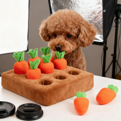 Snuffle Mat for Dogs Interactive Enrichment Funny Toys Pet Carrot Puzzle Toy Dog Activity Mat for Boredom Relief Foraging