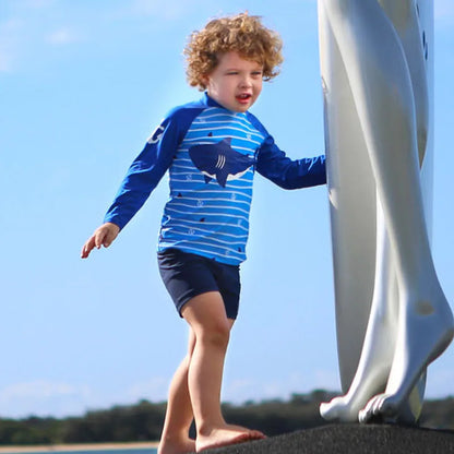 Kids' Long Sleeve Swimsuit Set: 2-Piece Rash Guard & Shorts for Toddlers and Children