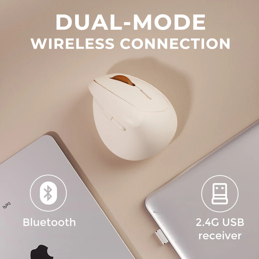 DAREU Mini Ergonomic Vertical Mouse 2.4G USB Bluetooth Wireless Optical Mice 3 Adjustable DPI 1000,1600,2400 for Small Hands