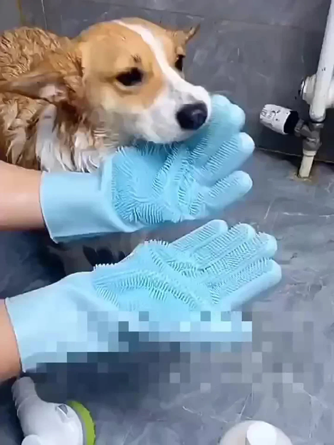 Bite-Proof Pet Scrubbing Bath Gloves: 2-in-1 Waterproof Silicone Grooming & Shampoo Scrubber