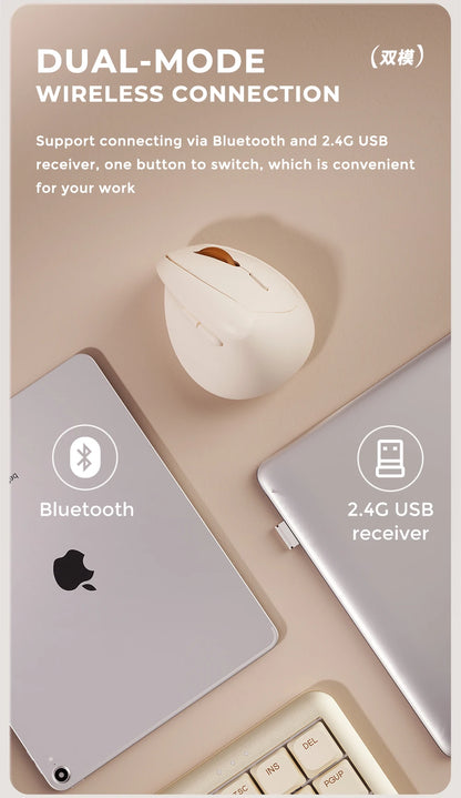 DAREU Mini Ergonomic Vertical Mouse 2.4G USB Bluetooth Wireless Optical Mice 3 Adjustable DPI 1000,1600,2400 for Small Hands