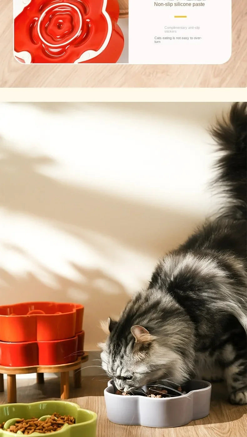 Ceramic Slow Food Bowl Anti-choking Cat Feeding Basin To Prevent Black Chin Small Dog Cat Neck Guard Wooden Frame Slow Food Bowl