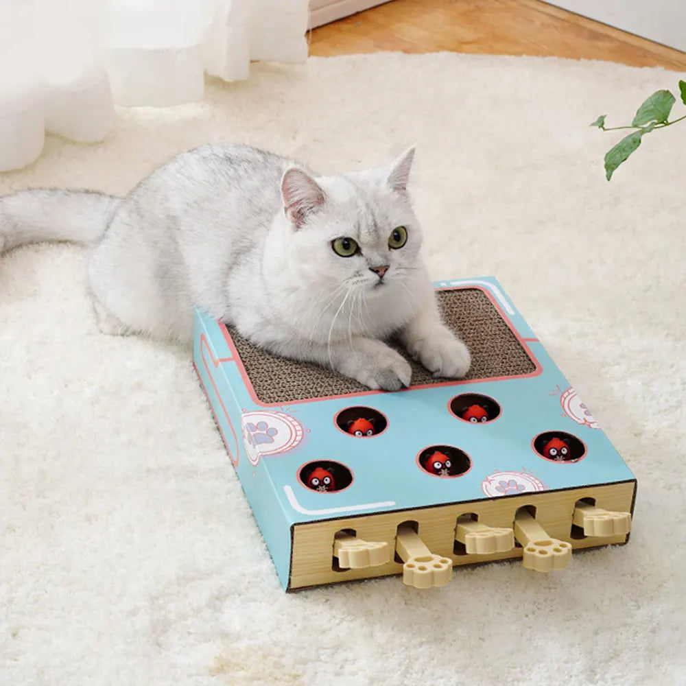 Cat Toy Whack-a-Mole Cat Scratching Board Toy Grinding Claw Rest Play Funny Cat Interactive Multifunctional Cat Supplies
